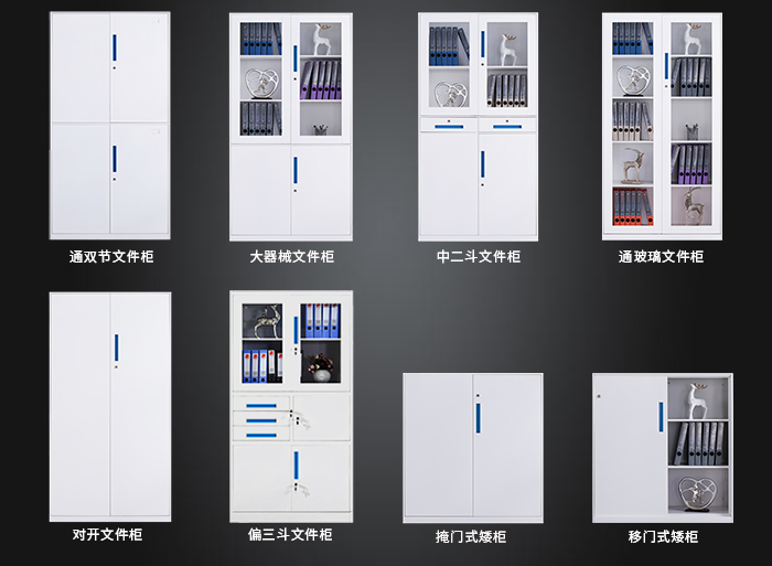 海發(fā)HF-GGLS系列文件柜，鋼制文件柜，辦公文件柜